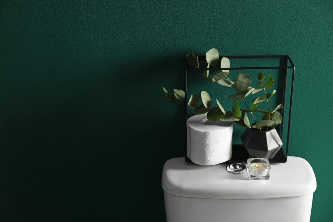 Éléments de décoration pour toilettes vert foncé