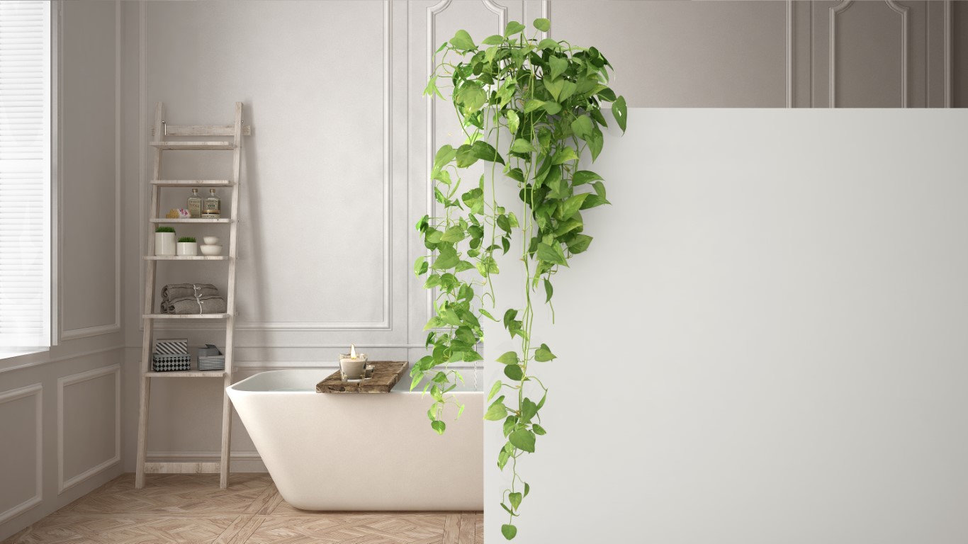 Plante verte dans salle de bain